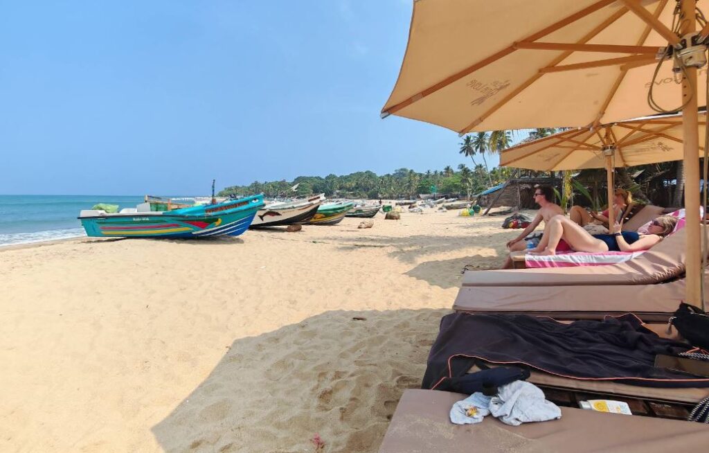 Arugam Bay Surf Camp
